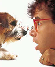 honey i shrunk the kids