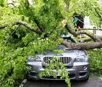storm damage